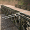 Ενιαία παρόδων χάλυβα ζευκτόντων γεφυρών του δέλτα γεφυρώματος ικανότητα φόρτωσης εθνικών οδών λύσης πλήρης προμηθευτής